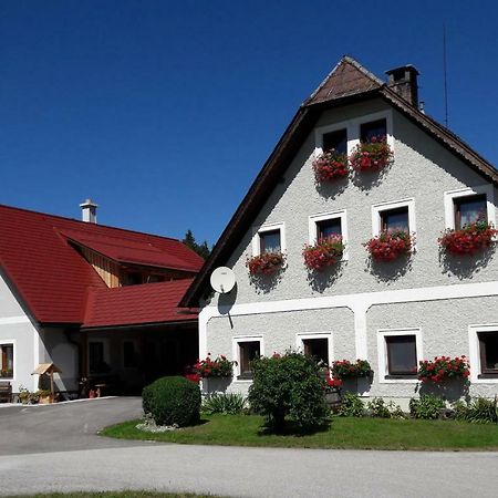 Apartamento Biobauernhof Obereck Göstling an der Ybbs Exterior foto