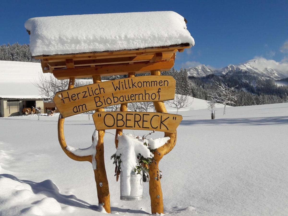 Apartamento Biobauernhof Obereck Göstling an der Ybbs Exterior foto