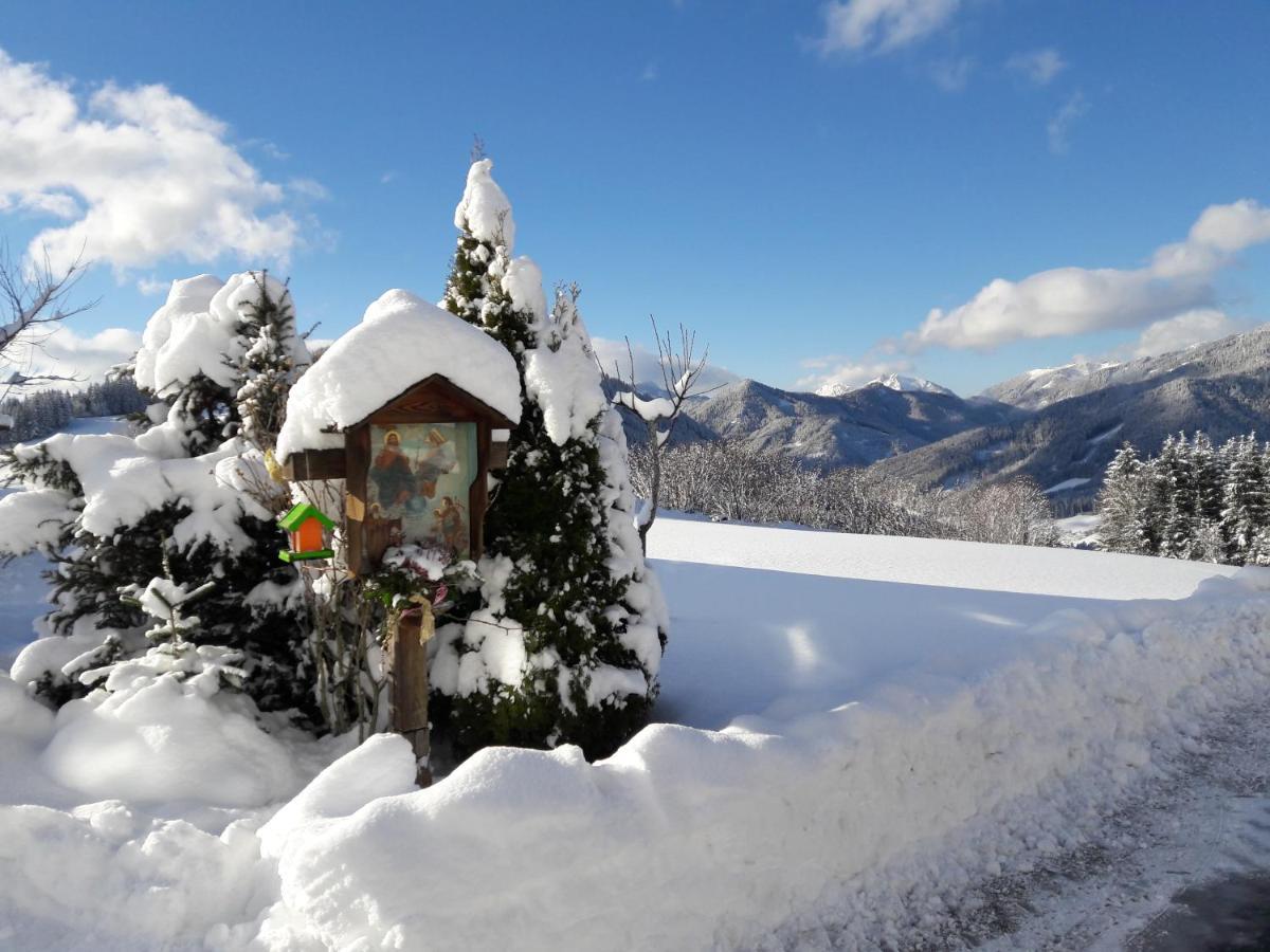 Apartamento Biobauernhof Obereck Göstling an der Ybbs Exterior foto