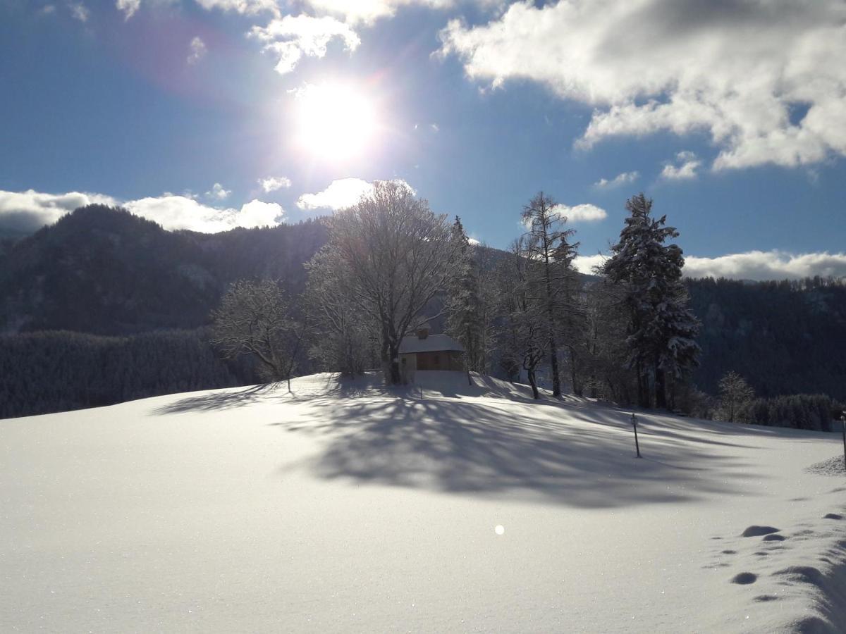 Apartamento Biobauernhof Obereck Göstling an der Ybbs Exterior foto