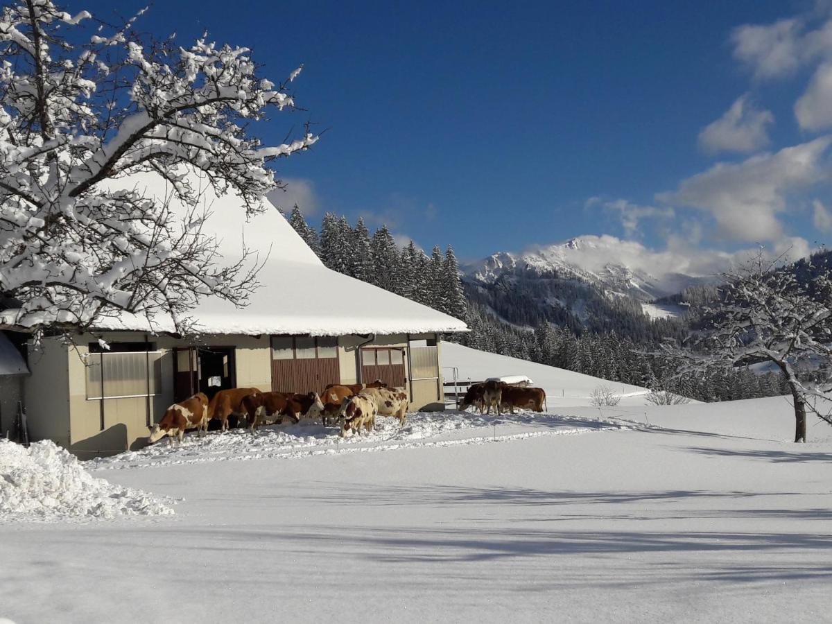 Apartamento Biobauernhof Obereck Göstling an der Ybbs Exterior foto