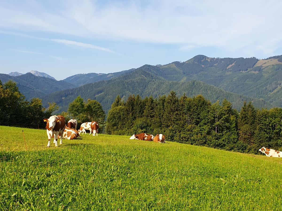 Apartamento Biobauernhof Obereck Göstling an der Ybbs Exterior foto