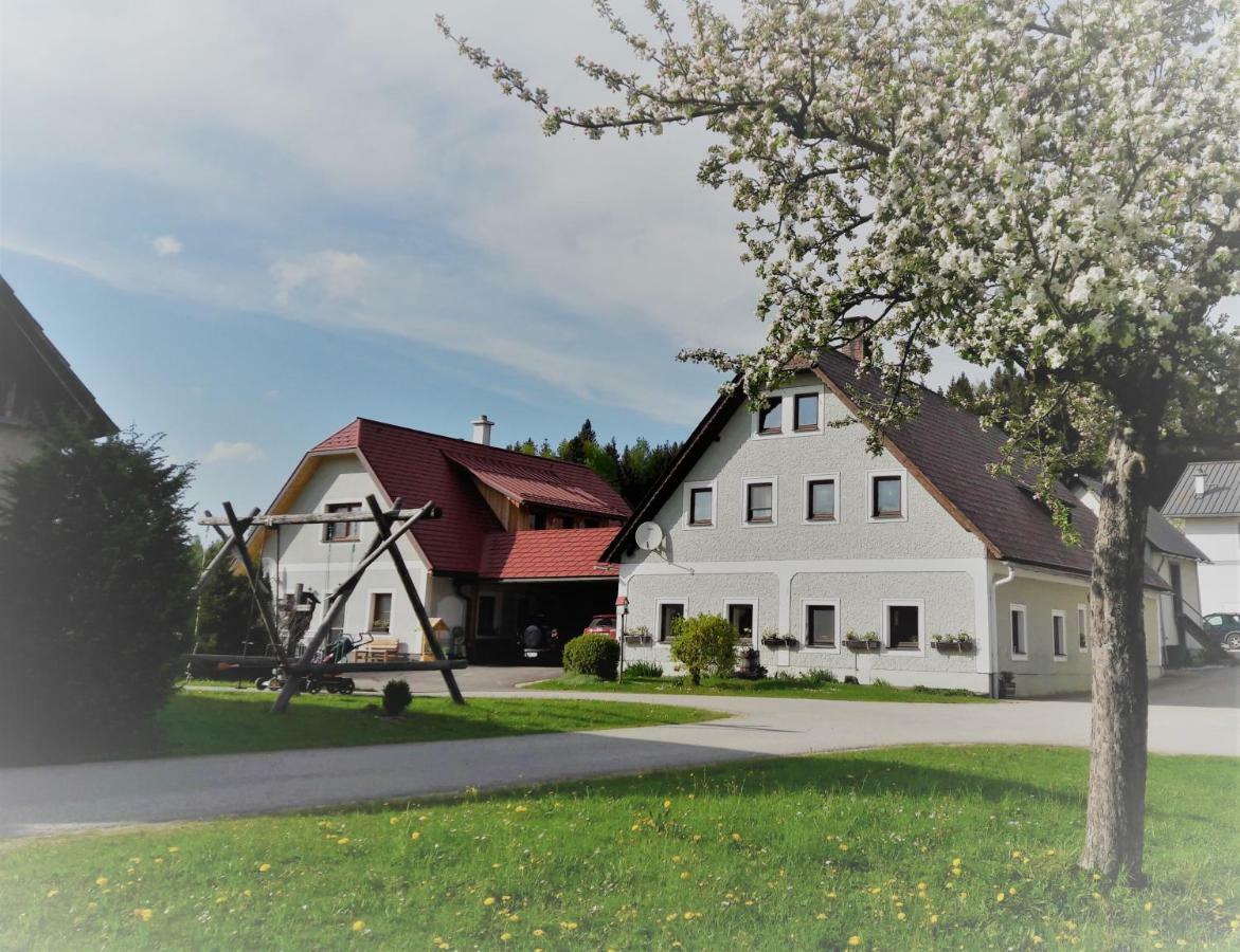 Apartamento Biobauernhof Obereck Göstling an der Ybbs Exterior foto