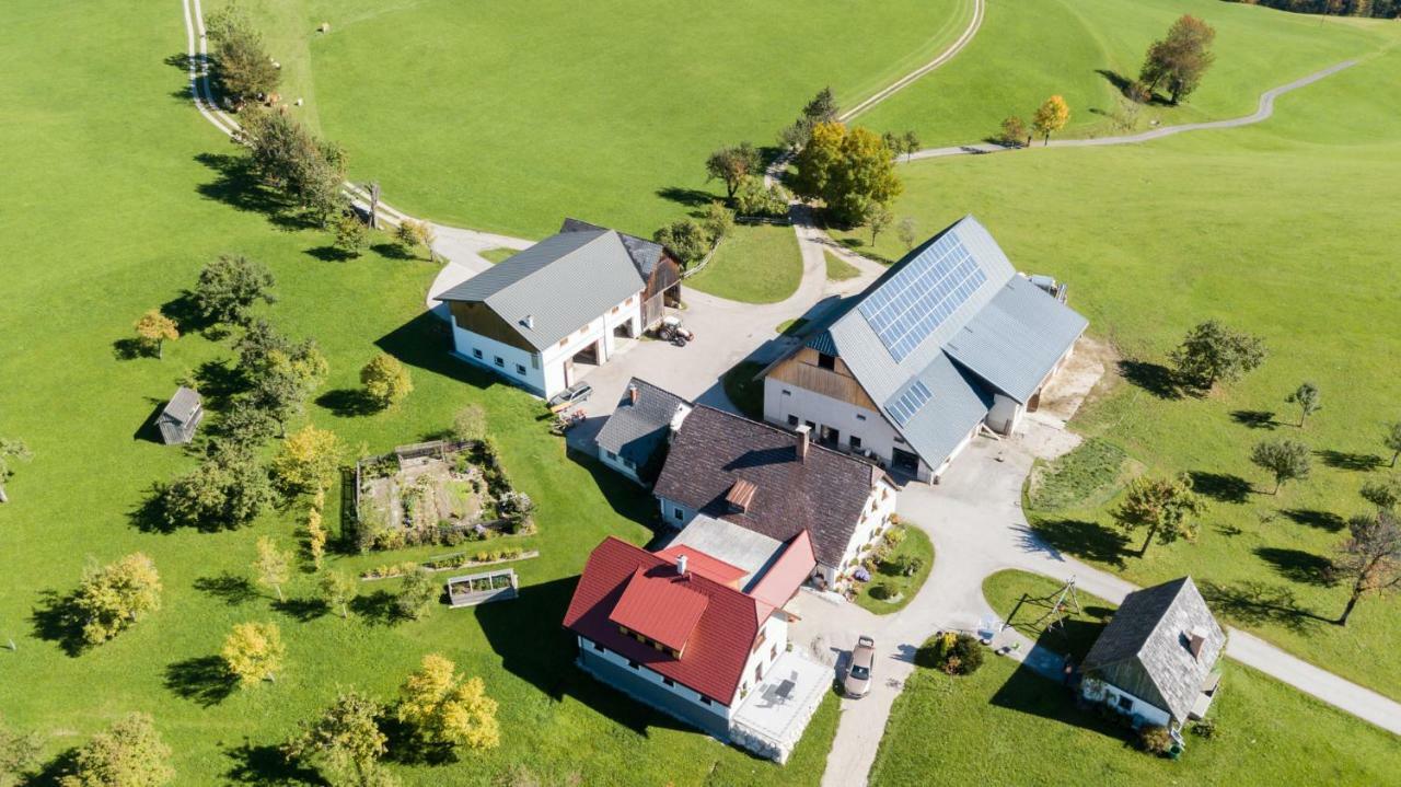 Apartamento Biobauernhof Obereck Göstling an der Ybbs Exterior foto