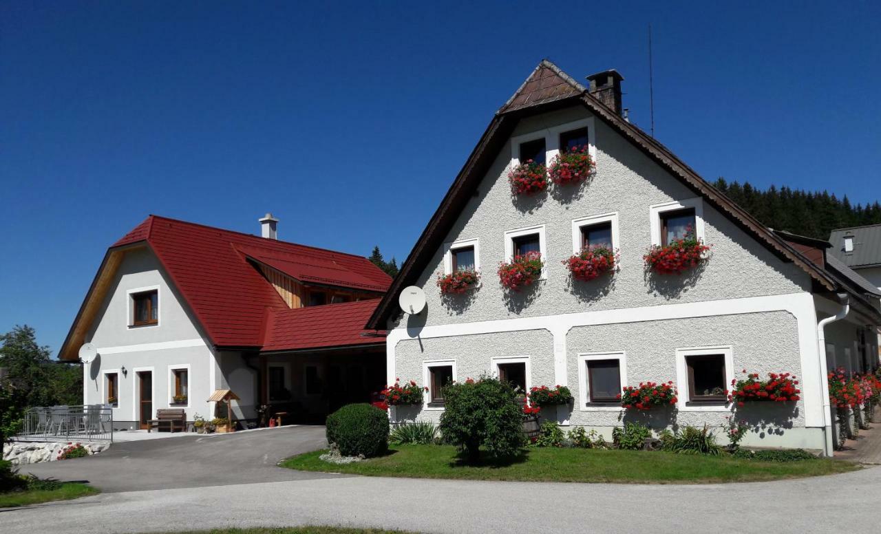 Apartamento Biobauernhof Obereck Göstling an der Ybbs Exterior foto